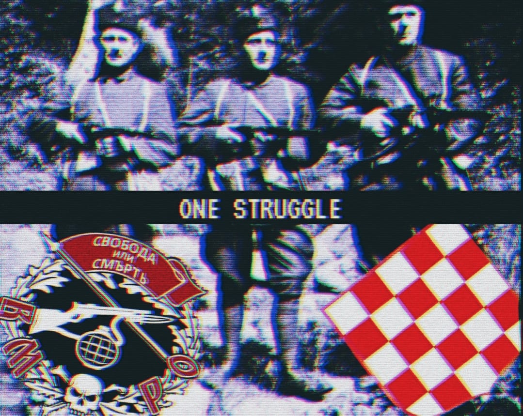 вмро хрватска